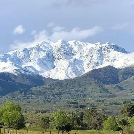 Daire Acogedor Al Sur De La Sierra De Gredos *
