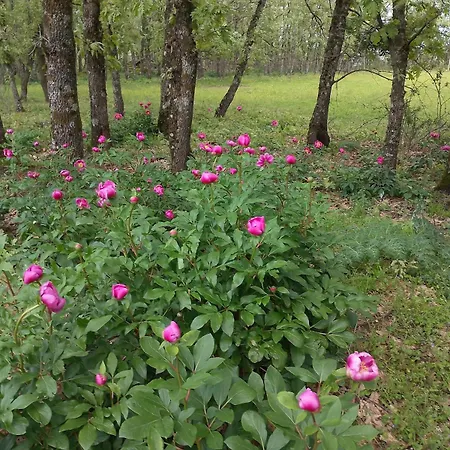Appartamento Acogedor Al Sur De La Sierra De Gredos *