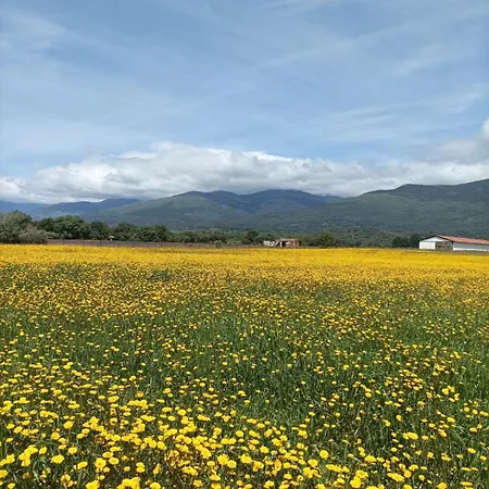 Appartamento Acogedor Al Sur De La Sierra De Gredos