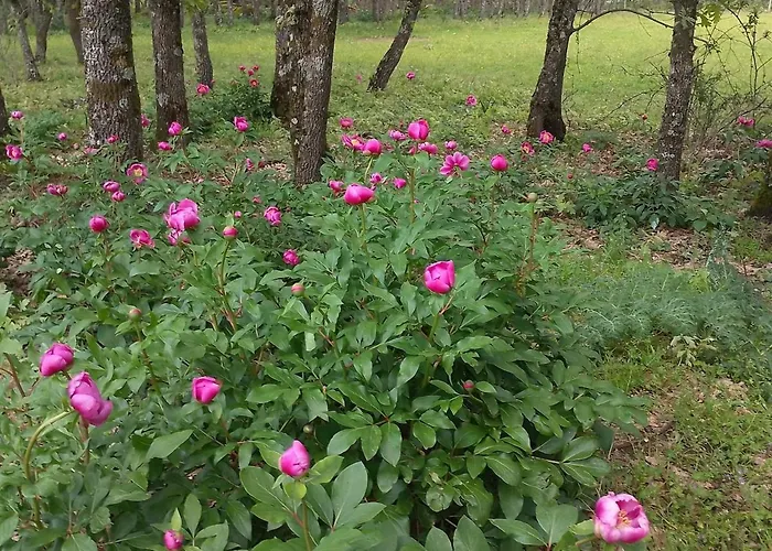 아파트 Acogedor Al Sur De La Sierra De Gredos *