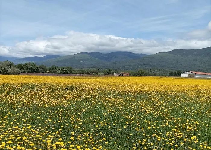 아파트 Acogedor Al Sur De La Sierra De Gredos